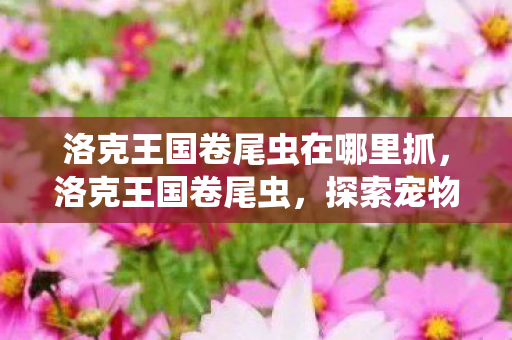 洛克王国卷尾虫在哪里抓,洛克王国卷尾虫,探索宠物小精灵的奇妙世界 洛克王国卷尾虫在哪里抓,洛克王国卷尾虫,探索宠物小精灵的奇妙世界