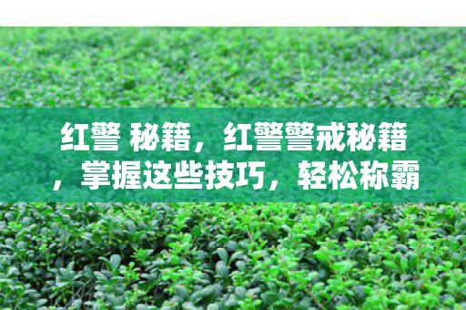 红警 秘籍，红警警戒秘籍，掌握这些技巧，轻松称霸战场