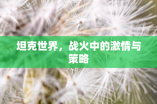 坦克世界,战火中的激情与策略 坦克世界,战火中的激情与策略