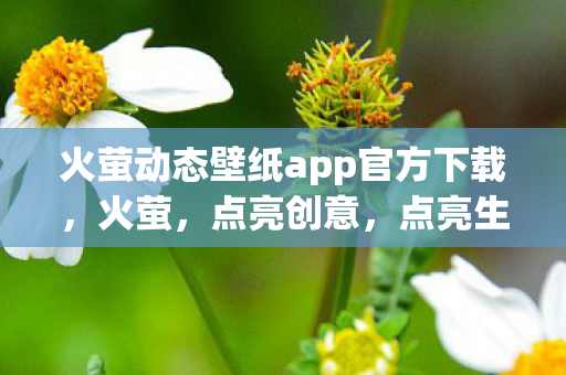 火萤动态壁纸app官方下载,火萤,点亮创意,点亮生活 火萤动态壁纸app官方下载,火萤,点亮创意,点亮生活