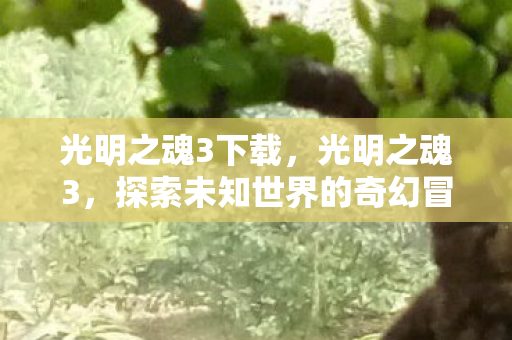 光明之魂3下载,光明之魂3,探索未知世界的奇幻冒险 光明之魂3下载,光明之魂3,探索未知世界的奇幻冒险