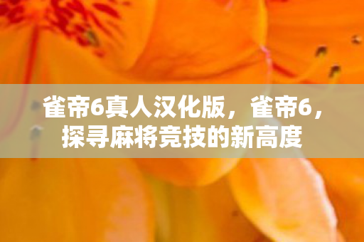 雀帝6真人汉化版,雀帝6,探寻麻将竞技的新高度 雀帝6真人汉化版,雀帝6,探寻麻将竞技的新高度
