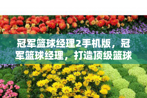冠军篮球经理2手机版,冠军篮球经理,打造顶级篮球队伍的秘诀 冠军篮球经理2手机版,冠军篮球经理,打造顶级篮球队伍的秘诀