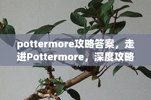 pottermore攻略答案,走进Pottermore,深度攻略带你领略魔法世界 pottermore攻略答案,走进Pottermore,深度攻略带你领略魔法世界