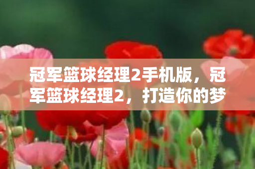 冠军篮球经理2手机版,冠军篮球经理2,打造你的梦幻篮球帝国 冠军篮球经理2手机版,冠军篮球经理2,打造你的梦幻篮球帝国