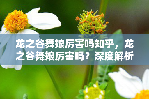 龙之谷舞娘厉害吗知乎,龙之谷舞娘厉害吗?深度解析其职业特色与实战表现 龙之谷舞娘厉害吗知乎,龙之谷舞娘厉害吗?深度解析其职业特色与实战表现