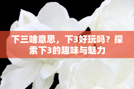 下三啥意思,下3好玩吗?探索下3的趣味与魅力 下三啥意思,下3好玩吗?探索下3的趣味与魅力