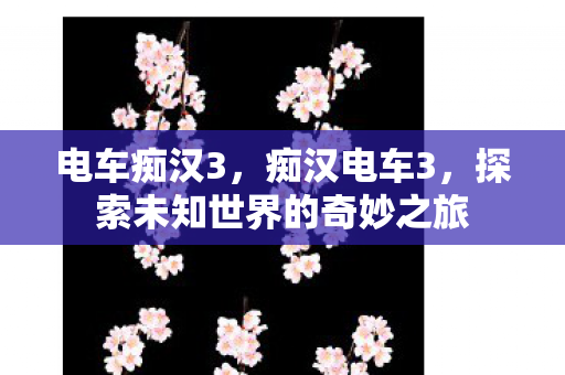 电车痴汉3，痴汉电车3，探索未知世界的奇妙之旅