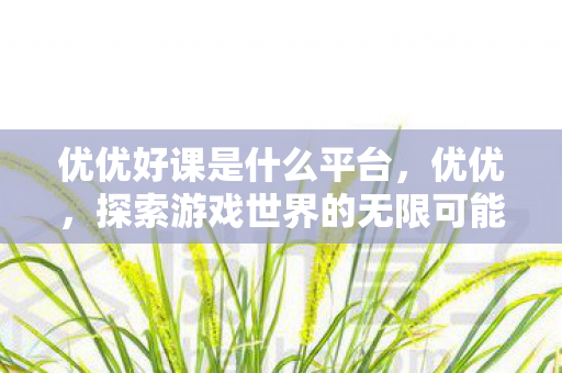 优优好课是什么平台，优优，探索游戏世界的无限可能