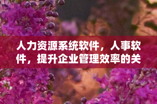 人力资源系统软件，人事软件，提升企业管理效率的关键工具