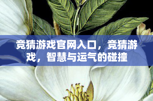 竞猜游戏官网入口,竞猜游戏,智慧与运气的碰撞 竞猜游戏官网入口,竞猜游戏,智慧与运气的碰撞