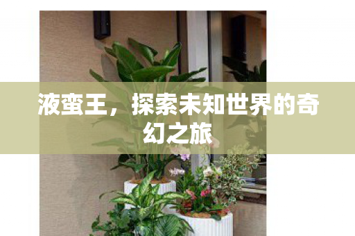 液蛮王,探索未知世界的奇幻之旅 液蛮王,探索未知世界的奇幻之旅