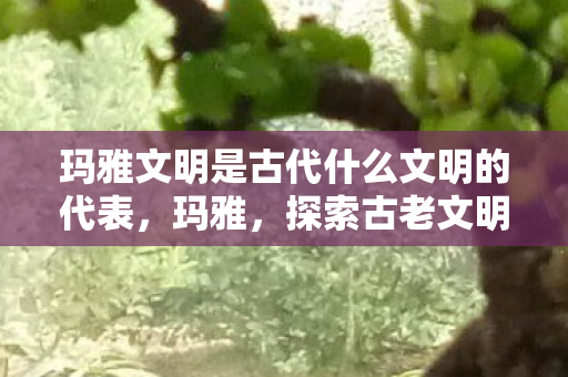 玛雅文明是古代什么文明的代表,玛雅,探索古老文明的神秘魅力 玛雅文明是古代什么文明的代表,玛雅,探索古老文明的神秘魅力
