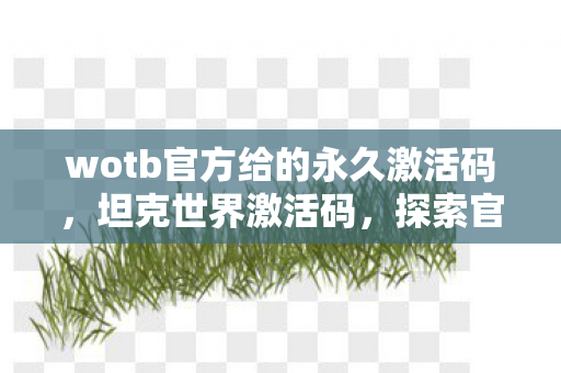 wotb官方给的永久激活码，坦克世界激活码，探索官方授权的无限可能