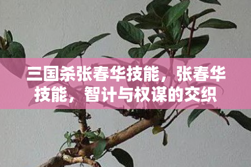 三国杀张春华技能,张春华技能,智计与权谋的交织 三国杀张春华技能,张春华技能,智计与权谋的交织