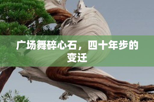 广场舞碎心石,四十年步的变迁 广场舞碎心石,四十年步的变迁