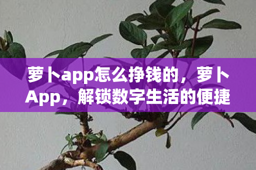 萝卜app怎么挣钱的,萝卜App,解锁数字生活的便捷神器 萝卜app怎么挣钱的,萝卜App,解锁数字生活的便捷神器