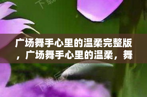 广场舞手心里的温柔完整版,广场舞手心里的温柔,舞动岁月的旋律 广场舞手心里的温柔完整版,广场舞手心里的温柔,舞动岁月的旋律