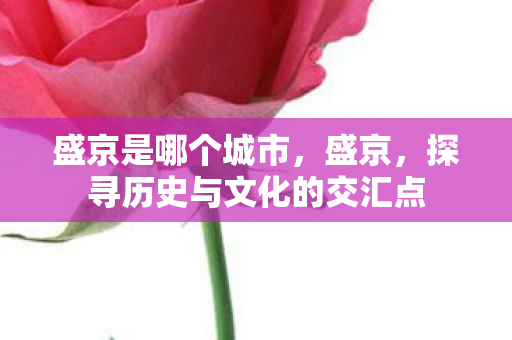 盛京是哪个城市，盛京，探寻历史与文化的交汇点