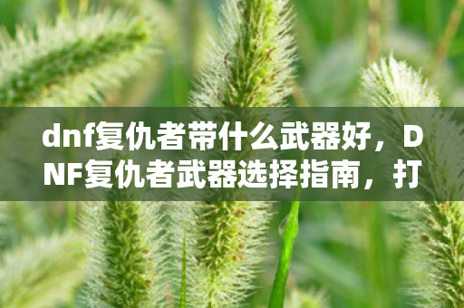 dnf复仇者带什么武器好,DNF复仇者武器选择指南,打造最强战斗力的关键 dnf复仇者带什么武器好,DNF复仇者武器选择指南,打造最强战斗力的关键