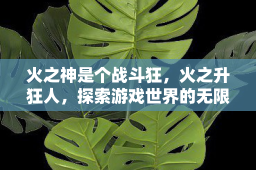 火之神是个战斗狂，火之升狂人，探索游戏世界的无限可能