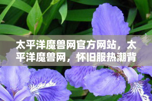 太平洋魔兽网官方网站，太平洋魔兽网，怀旧服热潮背后的经典与情怀
