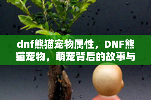 dnf熊猫宠物属性，DNF熊猫宠物，萌宠背后的故事与游戏文化