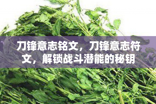 刀锋意志铭文，刀锋意志符文，解锁战斗潜能的秘钥
