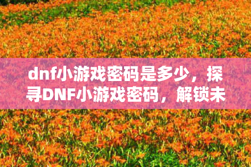 dnf小游戏密码是多少,探寻DNF小游戏密码,解锁未知的乐趣 dnf小游戏密码是多少,探寻DNF小游戏密码,解锁未知的乐趣