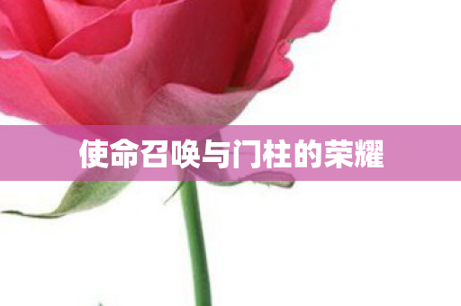 使命召唤与门柱的荣耀 使命召唤与门柱的荣耀
