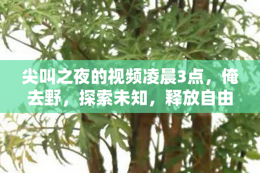 尖叫之夜的视频凌晨3点,俺去野,探索未知,释放自由的游戏之旅 尖叫之夜的视频凌晨3点,俺去野,探索未知,释放自由的游戏之旅