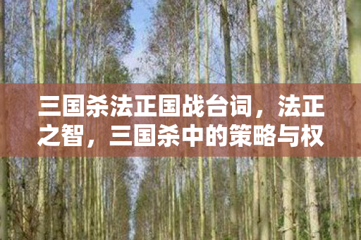 三国杀法正国战台词，法正之智，三国杀中的策略与权谋
