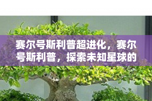 赛尔号斯利普超进化，赛尔号斯利普，探索未知星球的奇妙之旅