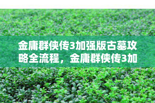 金庸群侠传3加强版古墓攻略全流程,金庸群侠传3加强版古墓攻略 金庸群侠传3加强版古墓攻略全流程,金庸群侠传3加强版古墓攻略
