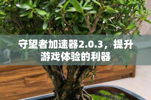 守望者加速器2.0.3,提升游戏体验的利器 守望者加速器2.0.3,提升游戏体验的利器