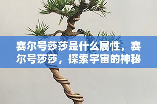 赛尔号莎莎是什么属性，赛尔号莎莎，探索宇宙的神秘之旅