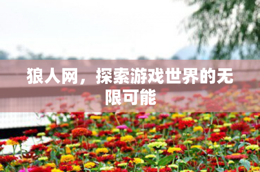 狼人网,探索游戏世界的无限可能 狼人网,探索游戏世界的无限可能