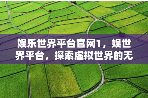 娱乐世界平台官网1，娱世界平台，探索虚拟世界的无限可能