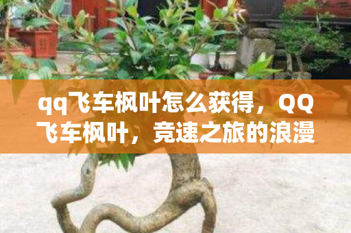 qq飞车枫叶怎么获得，QQ飞车枫叶，竞速之旅的浪漫邂逅