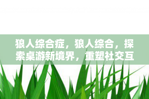 狼人综合症，狼人综合，探索桌游新境界，重塑社交互动体验
