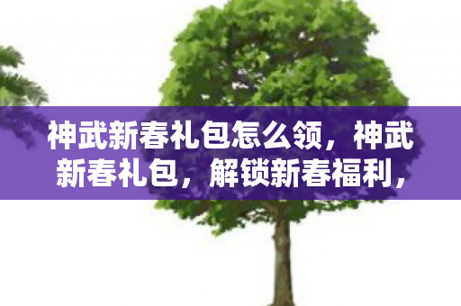 神武新春礼包怎么领,神武新春礼包,解锁新春福利,畅享游戏乐趣 神武新春礼包怎么领,神武新春礼包,解锁新春福利,畅享游戏乐趣