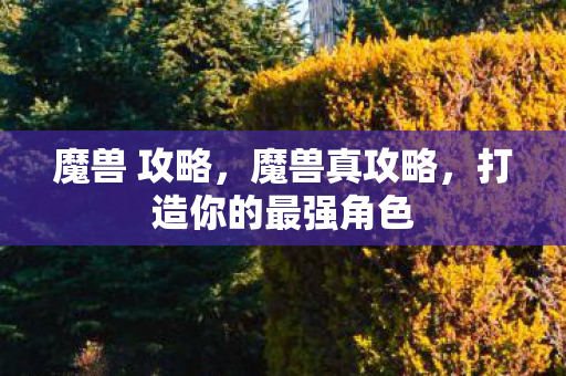 魔兽 攻略,魔兽真攻略,打造你的最强角色 魔兽 攻略,魔兽真攻略,打造你的最强角色