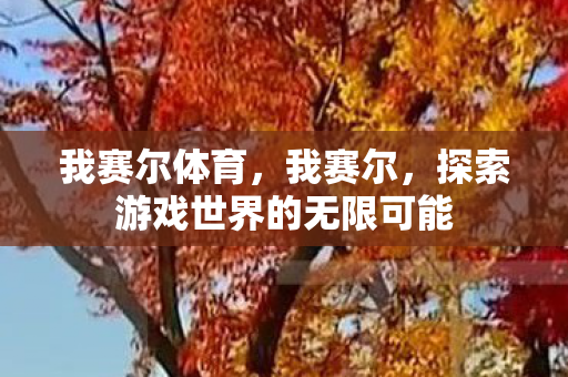 我赛尔体育，我赛尔，探索游戏世界的无限可能