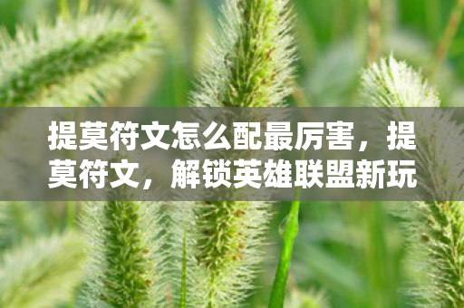 提莫符文怎么配最厉害,提莫符文,解锁英雄联盟新玩法 提莫符文怎么配最厉害,提莫符文,解锁英雄联盟新玩法