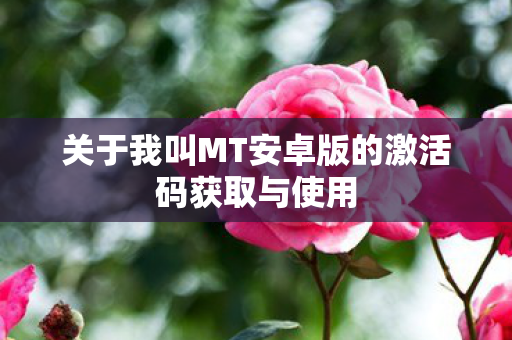 关于我叫MT安卓版的激活码获取与使用