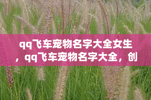 qq飞车宠物名字大全女生,qq飞车宠物名字大全,创意与个性的碰撞 qq飞车宠物名字大全女生,qq飞车宠物名字大全,创意与个性的碰撞