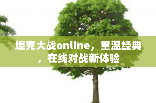 坦克大战online,重温经典,在线对战新体验 坦克大战online,重温经典,在线对战新体验