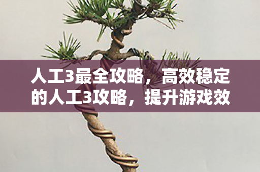 人工3最全攻略,高效稳定的人工3攻略,提升游戏效率与体验的全面指南 人工3最全攻略,高效稳定的人工3攻略,提升游戏效率与体验的全面指南