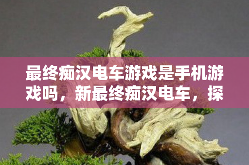 最终痴汉电车游戏是手机游戏吗,新最终痴汉电车,探索未知世界的奇妙之旅 最终痴汉电车游戏是手机游戏吗,新最终痴汉电车,探索未知世界的奇妙之旅