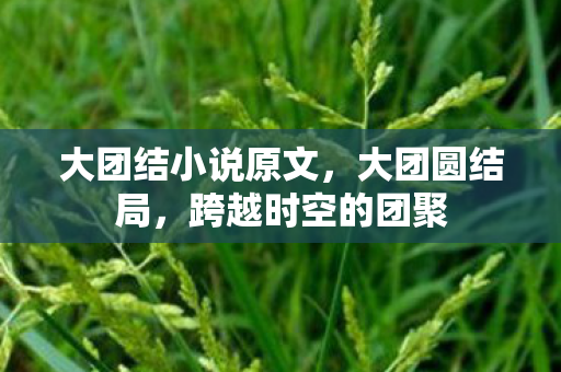大团结小说原文,大团圆结局,跨越时空的团聚 大团结小说原文,大团圆结局,跨越时空的团聚